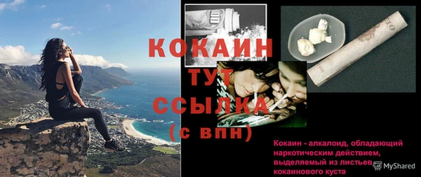 шишки Арсеньев