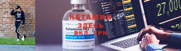 шишки Арсеньев